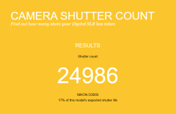 Nikon D300S 12.3MP Digital SLR DSLR Camera Body