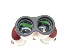 Nikon 8-24x25 4.6° at 8x Aculon T11 Zoom Binoculars in Red